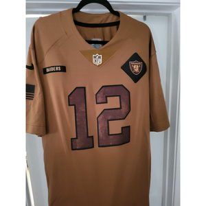 Las Vegas Raiders Ken Stabler Nike Brown 2023 Salute To Service Limited Jersey
